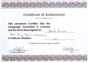Certificate of authenticity – David Bowie – Signed photograph